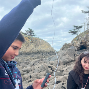 Capture d'écran (28)