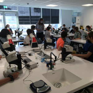 64535259264__B49D3541-B77A-4168-AA6B-A6F9D67F3DA5