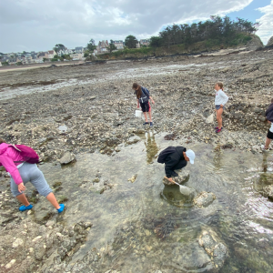 Capture d'écran 2025-09-25 150849