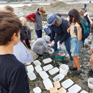 Capture d'écran 2025-09-25 151110