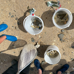 Capture d'écran 2025-09-25 150815