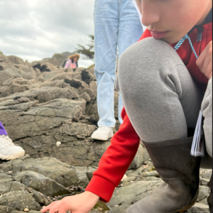 Capture d'écran (33)