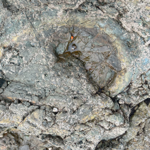 Capture d'écran (29)