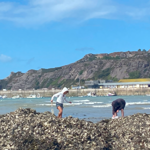 Capture d'écran 2025-09-25 150907