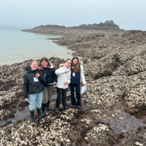 Capture d'écran (31)