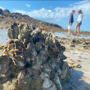 Capture d'écran 2025-09-25 150917